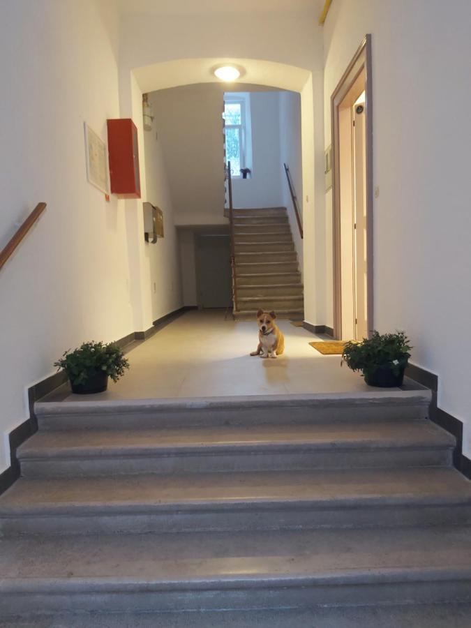 Apartman Draguc PUY Exterior foto